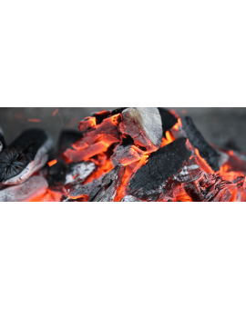 Κάρβουνα Ψησίματος Carbonero 5kg