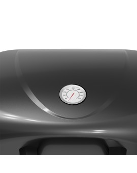 BBQ ΥΓΡΑΕΡΙΟΥ GS GRILL 2 + PLANCHA